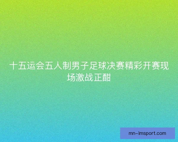 十五运会五人制男子足球决赛精彩开赛现场激战正酣 十五运会五人制男子足球决赛精彩开赛现场激战正酣